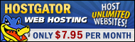 Host Unlimited Websites
