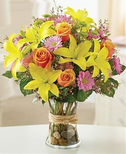 Fields of Europe Mothers Day Gift Flowers