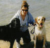 woman walking dogs